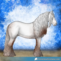 Horse Color:Gray Chestnut 