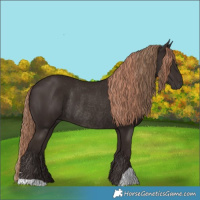 Horse Color:Liver Chestnut  and Liver Chestnut Rabicano 