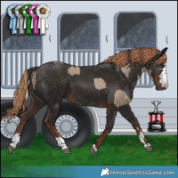 Horse Color:Liver Red Dun  and Liver Chestnut 