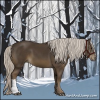 Horse Color:Silver Smoky Black 