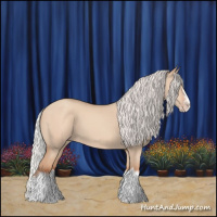 Horse Color:Silver Classic Champagne Dun Splash Frame