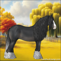 Horse Color:Black Splash 