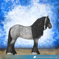 Horse Color:Blue Roan 