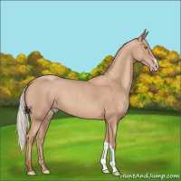 Horse Color:Silver Classic Champagne 