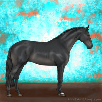 Horse Color:Black 