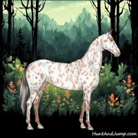 Horse Color:Amber Champagne Appaloosa  and Silver Amber Champagne Appaloosa 