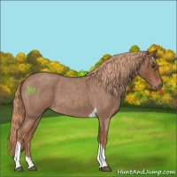 Horse Color:Red Roan Tobiano 