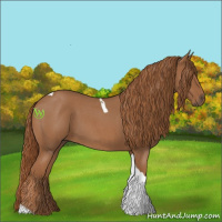 Horse Color:Red Roan Tobiano 