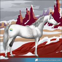Horse Color:Gray Grullo Tobiano 