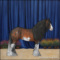 Horse Color:Black Splash Frame and Bay Splash Frame