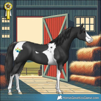 Horse Color:White Spotted Black Tobiano 