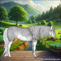Horse Color:Silver Grullo Chinchilla Splash 