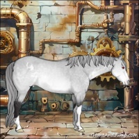Horse Color:Buckskin Chinchilla Dun Varnish 