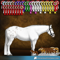 Horse Color:Liver Red Roan Appaloosa Rabicano 