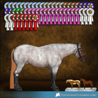 Horse Color:White Spotted Liver Red Roan 