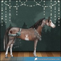 Horse Color:White Spotted Liver Chestnut Splash 