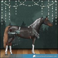 Horse Color:Liver Chestnut Tobiano 