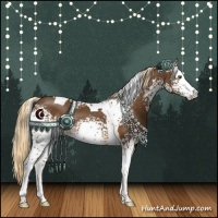 Horse Color:White Spotted Chocolate Palomino Tobiano Rabicano 