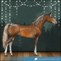 Horse Color:White Spotted Chocolate Palomino Tobiano 