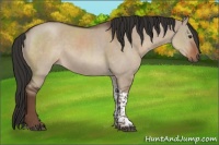 Horse Color:Liver Red Dun Roan Tobiano 