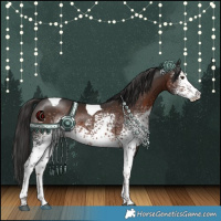 Horse Color:White Spotted Liver Chestnut Tobiano 