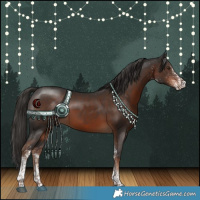 Horse Color:White Spotted Liver Chestnut
