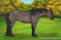 Horse Color:Brown Roan Dun Rabicano 