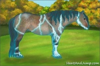 Horse Color:Thunderstruck Brown Dun Tobiano Rabicano 