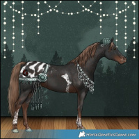 Horse Color:Liver Chestnut Tobiano Blanket 