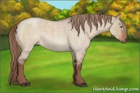 Horse Color:Liver Red Dun Roan 