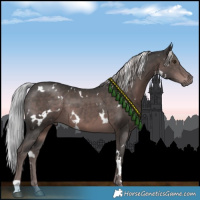 Horse Color:Platinum White Spotted Liver Chestnut 