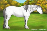 Horse Color:Smoky Black Sabino Appaloosa 