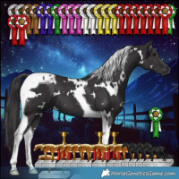 Horse Color:White Spotted Smoky Black Tobiano 