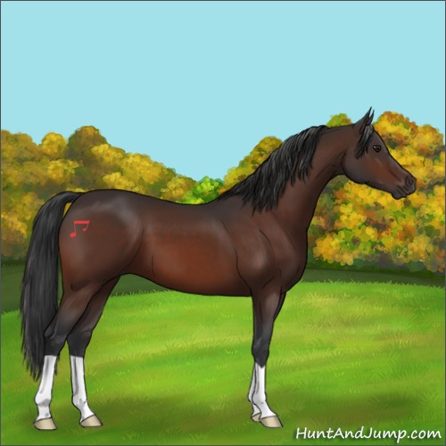 Horse Color:Brown 