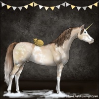 Horse Color:Liver Red Dun Pearl Sabino Splash