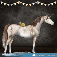 Horse Color:White Spotted Liver Red Dun Ice Pearl Sabino Splash Brindle