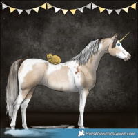 Horse Color:Gray Liver Red Dun Ice Pearl Sabino Splash Tobiano