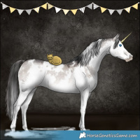 Horse Color:White Spotted Brown Ice Dun Mushroom Splash Rabicano