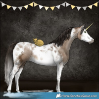 Horse Color:Gray Brown Ice Pearl Dun Sabino Splash Tobiano 