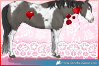 Horse Color:Grullo Splash Tobiano 