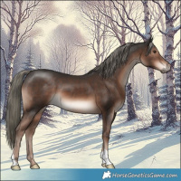 Horse Color:Liver Chestnut Mushroom 
