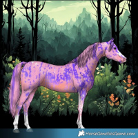 Horse Color:Watercolor Smoky Black Tobiano and Watercolor Smoky Black