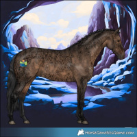 Horse Color:Brown Ice Dun Rabicano