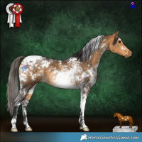 Horse Color:White Spotted Buckskin Tobiano 