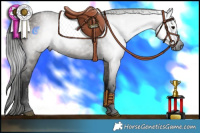 Horse Color:Gray Grullo