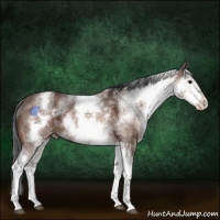 Horse Color:White Spotted Bay Ice 