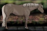 Horse Color:Silver Black 