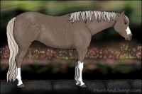 Horse Color:Silver Black 