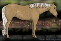 Horse Color:Silver Smoky Black 