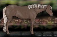 Horse Color:Silver Black 